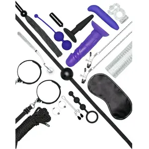 Lovehoney Kit BDSM All You Need 20 pièces pas cher