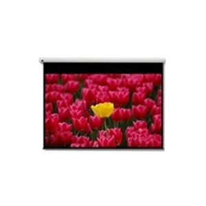 Optoma Panoview DE-9120EGA - ecran de projection - 120 (305 cm)