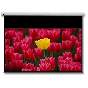 Optoma Panoview DE-9092EGA - ecran de projection - 92 (234 cm) pas cher