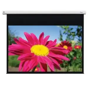 Comparateur de prix : Ecran de projection motorisé Optoma DE-1123EGA 123" 16:10 - Matte White