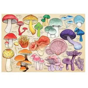HOP - House of Puzzles La Manie Des Champignons pas cher