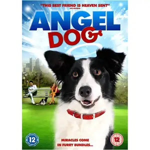 New Horizon Films Angel Dog pas cher