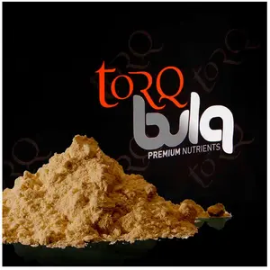 Torq Boisson Isotonique En Poudre Vegan Robust & Fruity 1.5kg One Size pas cher