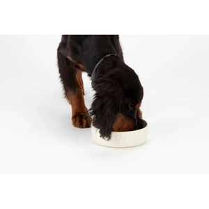 Gamelle Chien   Scruffs Gamelle Icon anti-glouton beige clair   Ø 20 x... pas cher