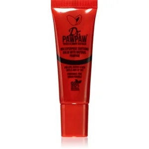 Dr. Pawpaw Ultimate Red stick bicolore lèvres et joues 10 ml pas cher