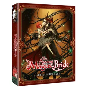 Comparateur de prix : AANIME/CRUNCHYROLL The Ancient Magus Bride L'intégrale de la Saison 1 Blu-ray