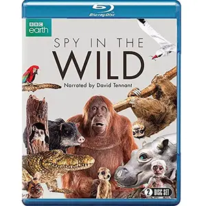 Spy in The Wild (2 Blu-Ray) [Edizione: Regno Unito] [Import]