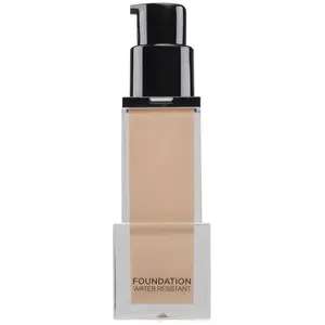 Delfy Fondation base de maquillage waterproof #10 sable pas cher