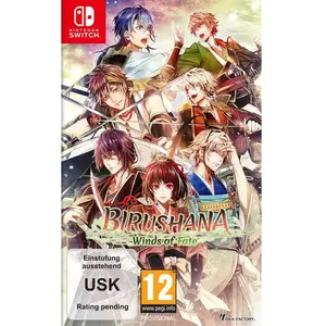 Birushana Winds Of Fate SWITCH pas cher