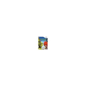 Activision SHREK 4: IL ETAIT UNE FIN / Jeu console Wii pas cher