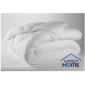 Comparateur de prix : LOVELY HOME Couette anti-acariens 240x260 cm 500 gr/m² Blanc 240 x 260 cm