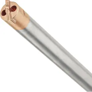 Dewalt Foret aspirant SDS-Plus carbure diamètre 18 mm longueur 250 mm pas cher