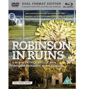 Import Robinson in ruins pas cher