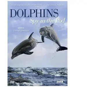 Acorn Media Dolphins Spy in the Pod pas cher