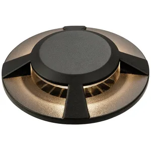 Luminaire Center Firstlight - led 1 lumière extérieure Drive, Walkover Light Graphite IP67