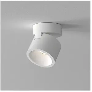 astro Lynx Projecteur LED, 1403007, pas cher