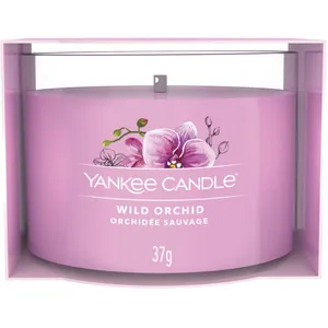 Yankee Candle - Orchidée Sauvage Bougie Parfumée 37g pas cher