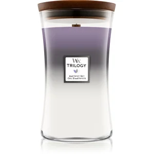 Woodwick Trilogy Amethyst Sky bougie parfumée avec mèche en bois 609,5... pas cher