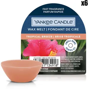 YANKEE CANDLE Fondant parfumé - Brise tropicale - 22 g pas cher