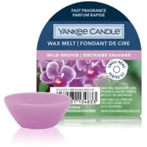 Comparateur de prix : YANKEE CANDLE - Fondants Orchidée Sauvage Bougies 61 g unisex