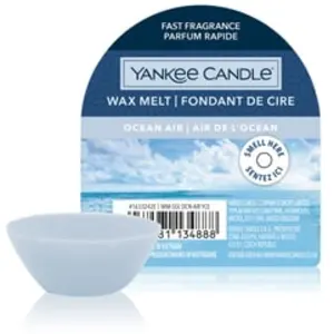 Comparateur de prix : Yankee Candle Ocean Air Wax Melt Single Bougie parfumée 1000 g