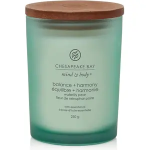 Yankee Candle Bougie gobelet - Équilibre & Harmonie - Moyen modèle - 2... pas cher