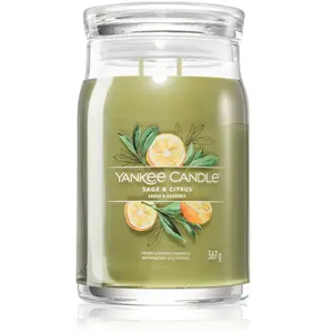 Comparateur de prix : YANKEE CANDLE - Grande Jarre Sauge et Agrumes Bougies 567 g unisex