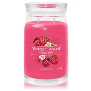 Comparateur de prix : Yankee Candle Bougie signature Framboise rouge grand modèle