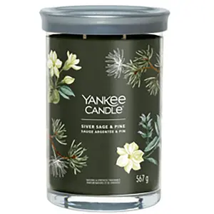 Comparateur de prix : YANKEE CANDLE Bougie gobelet - Silver sage & pine signature - Grand modèle - 576 g 