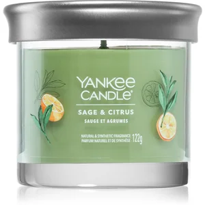 Comparateur de prix : Yankee Candle Sage & Citrus bougie parfumée 122 g