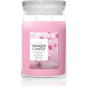Yankee Candle Signature Grosses Glas Enchanting Cherry Blossom Bougie parfumée 1000 g