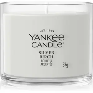 Yankee Candle Silver Birch bougie votive 37 g pas cher