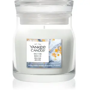 Yankee Candle Silver Birch bougie parfumée Signature 110 g pas cher