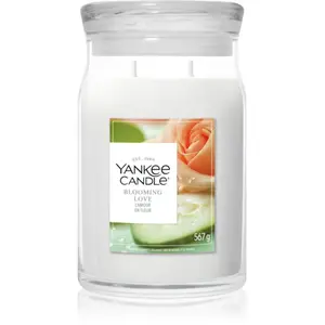 Yankee Candle, Bougie parfumée, Amour en fleur (567 g) pas cher