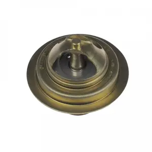 Thermostat d'eau ADZ99202 Blue Print ADZ99202 pas cher