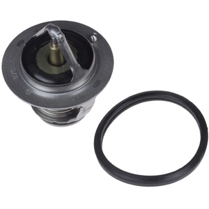 Thermostat d'eau ADT39208 Blue Print ADT39208 pas cher