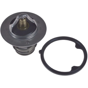Thermostat d'eau ADH29222 Blue Print ADH29222 pas cher