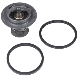 Thermostat d'eau ADK89210 Blue Print ADK89210