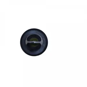 Blue Print Thermostat d'eau (Ref: ADZ99218) pas cher