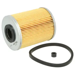 Delphi Technologies HDF513 Filtre a Carburant Diesel