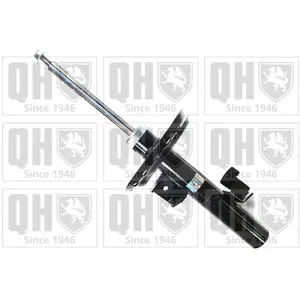 Comparateur de prix : 1 Amortisseur Quinton Hazell Qag878135