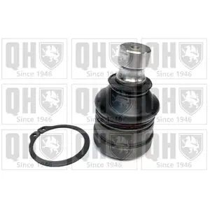 Rotule de suspension QUINTON HAZELL QSJ3821S - Réf. QSJ3821S pas cher