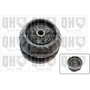 Coupelle de suspension QUINTON HAZELL EMR6103 - Réf. EMR6103 pas cher