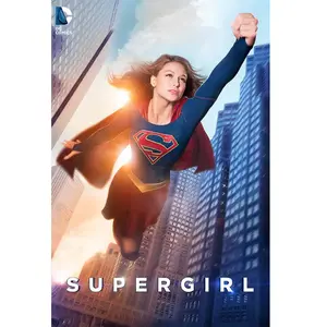 Warner Bros Supergirl - Season 1Vendu parzavvi
