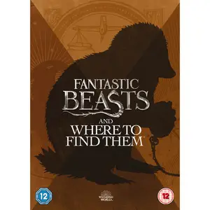 Warner Bros Fantastic Beasts and Where to Find Them pas cher