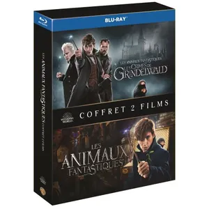 Comparateur de prix : Warner Home Video Coffret Les Animaux fantastiques 1 et 2 Blu-ray
