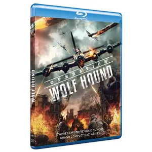 AB Production Wolf Hound Blu-ray pas cher