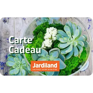 BLACKHAWK Carte cadeau 30 JARDILAND pas cher