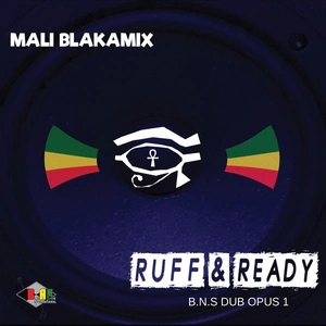 Comparateur de prix : Blakamix Int'l Records Ruff & Ready - Blak Nile Dub Opus 1
