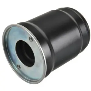 filtre à carburant ADBP230045 Blue Print ADBP230045 pas cher